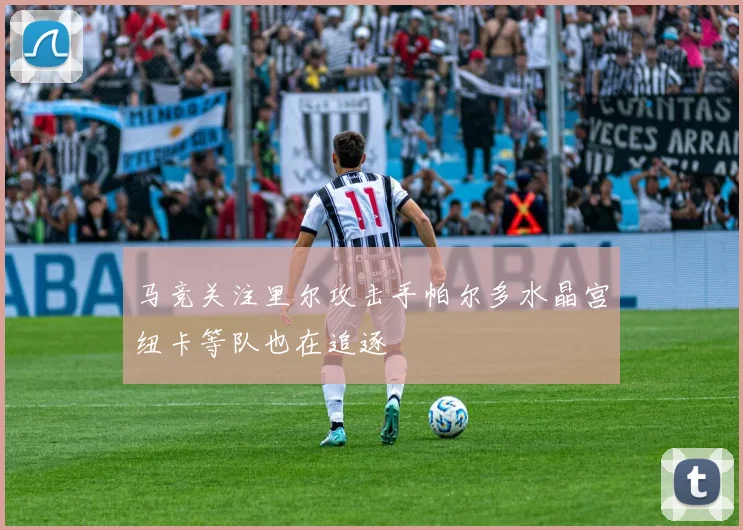 马竞关注里尔攻击手帕尔多水晶宫纽卡等队也在追逐
