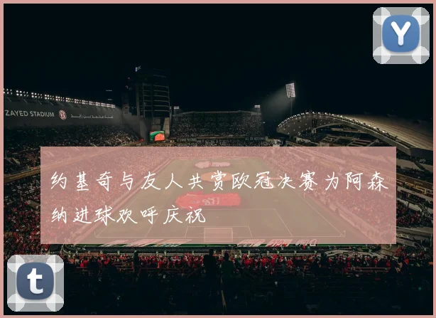 约基奇与友人共赏欧冠决赛为阿森纳进球欢呼庆祝