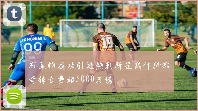 布莱顿成功引进热刺新星武什科维奇转会费超5000万镑